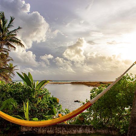 Casa Coral Vandrarhem Luquillo Exteriör bild